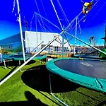 The Cove *
